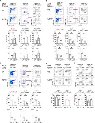 IL-21 is required for the maintenance and pathogenesis of murine Vγ4+ IL-17-producing γδT cells